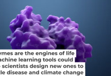 Enzymes have complicated molecular structures that are hard to replicate. Design Cells/iStock via Getty Images Plus